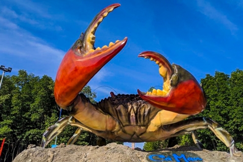 Sài Gòn – Cà Mau 2 chiều