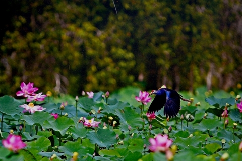 Sài Gòn – Đồng Tháp 1 chiều