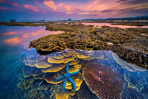 Sài Gòn – Phú Yên 2 chiều